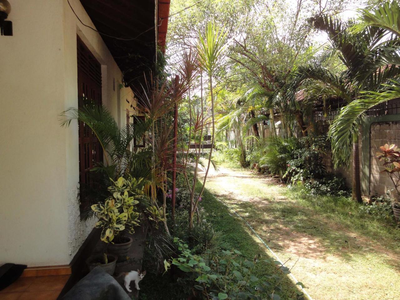 Lidwins Inn 15 Minutes To The Airport Negombo Exteriér fotografie